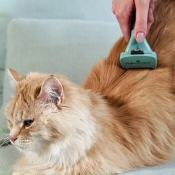 FURminator Katze S Kurzhaar – Bild 2