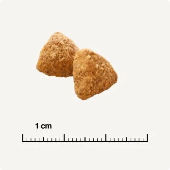 SELECT GOLD Light Adult Geflügel & Reis 2,5 Kg – Bild 5