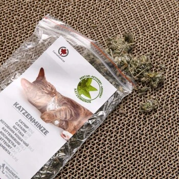 Canadian Cat Company Kratzbrett Jumbo Galaxy Naturfarben – Bild 3