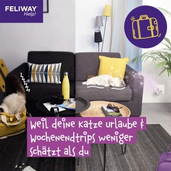 Feliway Help! 7 Tage Start-Set Zur Vorbeugung Von Stress – Bild 10