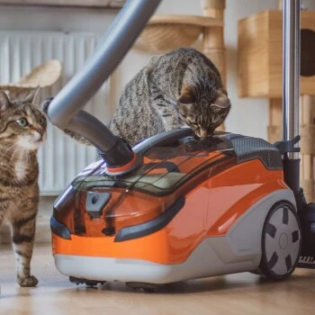 THOMAS AQUA+ Pet & Family â Bild 11