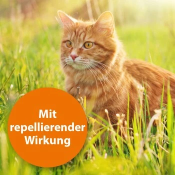 Ardap Spot-On Für Katzen S – Bild 3