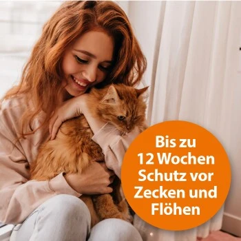 Ardap Spot-On Für Katzen S – Bild 4