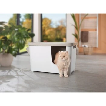 MORE FOR Katzentoilette XXL Titan – Bild 4