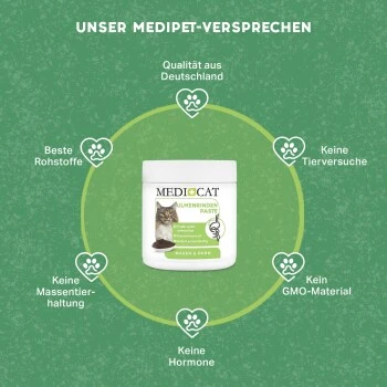 MediCat Ulmenrinde Paste â Bild 2