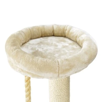 MORE FOR Kratzbaum Gaspar â Bild 3