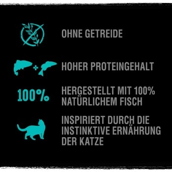 CRAVE Mit Lachs Und Weißfisch 2,8 Kg – Bild 3