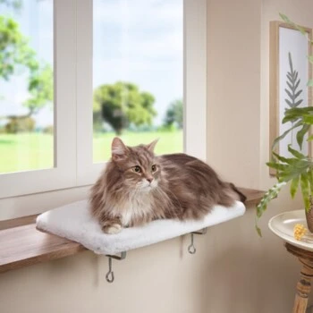 AniOne Fensterliegeplatz – Bild 4