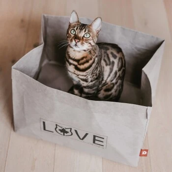 Canadian Cat Company Katzenbett Winnipeg – Bild 7