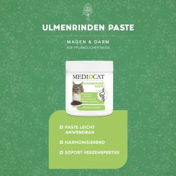 MediCat Ulmenrinde Paste â Bild 4