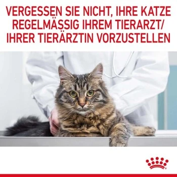 ROYAL CANIN Dental Care 3,5 Kg – Bild 2