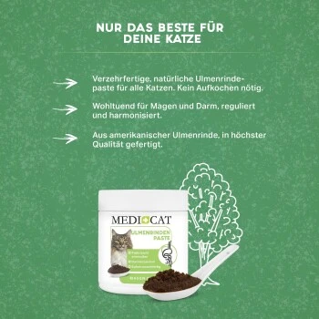 MediCat Ulmenrinde Paste â Bild 3