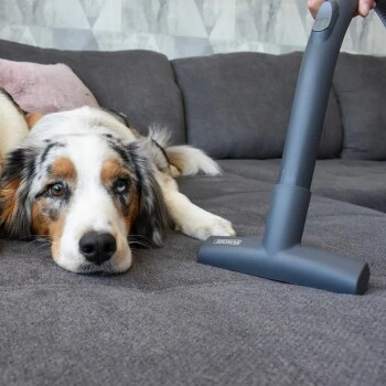 THOMAS Perfect Air Animal Pure – Bild 6