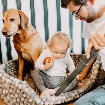 THOMAS AQUA+ Pet & Family Parquet Pro – Bild 3