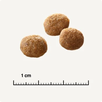 SELECT GOLD Senior +12 Geflügel Mit Reis 3 Kg – Bild 5