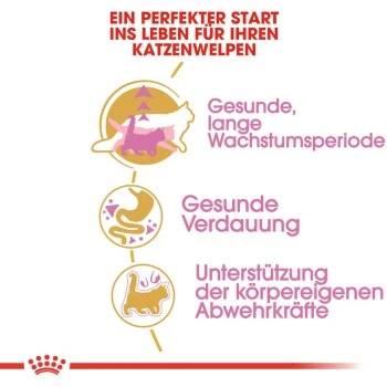 ROYAL CANIN Maine Coon Kitten 4 Kg – Bild 4