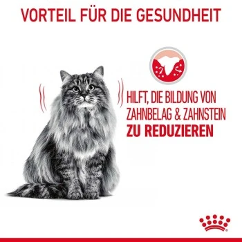 ROYAL CANIN Dental Care 3,5 Kg – Bild 6
