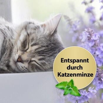 Felisept Home Comfort Beruhigungshalsband FĂŒr Katzen â Bild 2