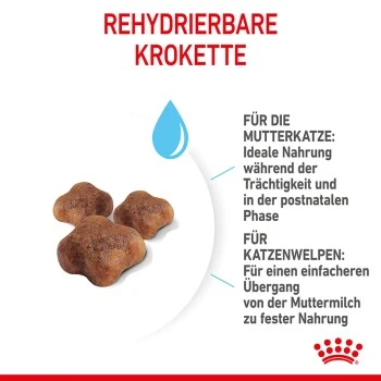ROYAL CANIN Mother & Babycat 2 Kg – Bild 3