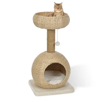 AniOne Kratzbaum Anzo