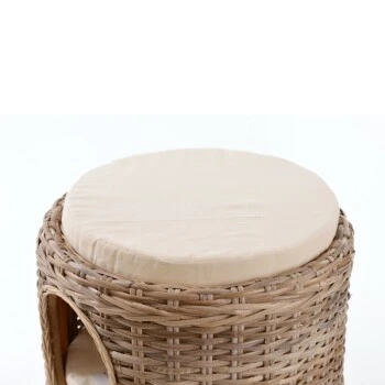 Rohrschneider Katzenturm Ricki – Bild 4