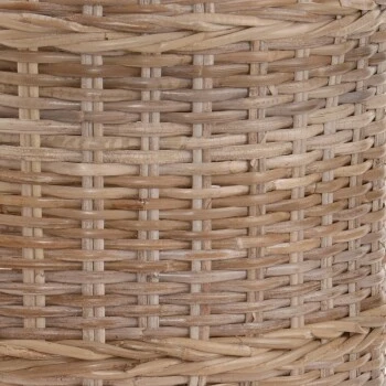 Rohrschneider Katzenturm Ricki – Bild 2