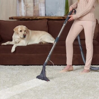 THOMAS DryBox Amfibia Pet – Bild 5