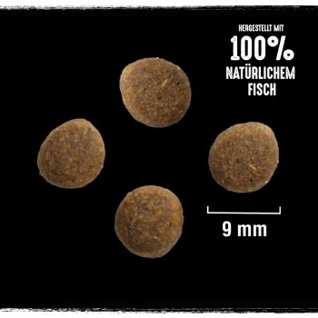 CRAVE Mit Lachs Und Weißfisch 2,8 Kg – Bild 2