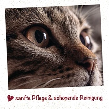 FeliTATZ Aufenreiniger â Bild 2