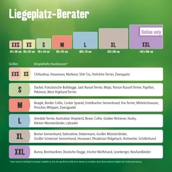 MORE Höhle Diamond – Bild 3