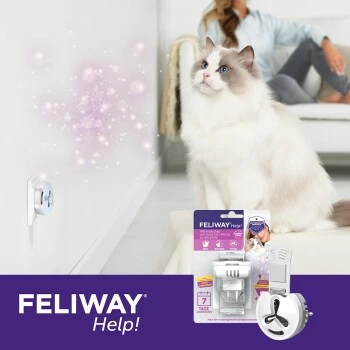 Feliway Help! 7 Tage Start-Set Zur Vorbeugung Von Stress – Bild 6