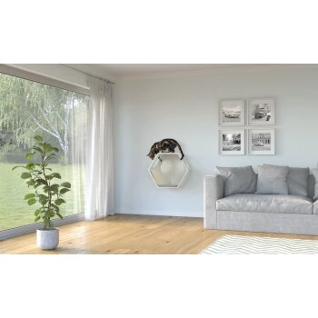 AniOne Wandhöhle â Bild 4