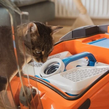 THOMAS AQUA+ Pet & Family â Bild 10