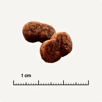 SELECT GOLD Hair+Skin Senior Geflügel & Lachs 2,5 Kg – Bild 5