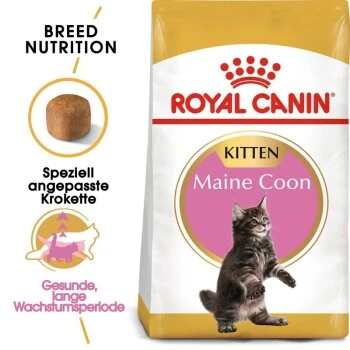 ROYAL CANIN Maine Coon Kitten 4 Kg
