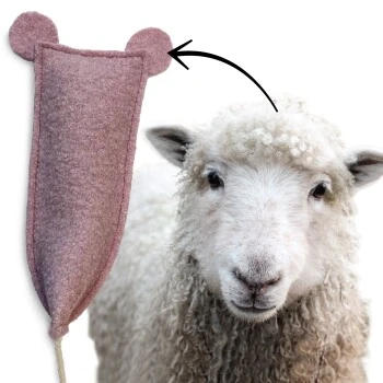 Kater Kasimir Kitten Paket Mit 3 Premium Katzenspielzeugen – Bild 6