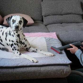 THOMAS AQUA+ Pet & Family â Bild 7