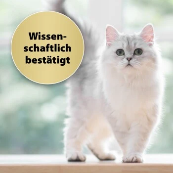 Felisept Home Comfort NachfĂŒller 45ml â Bild 4