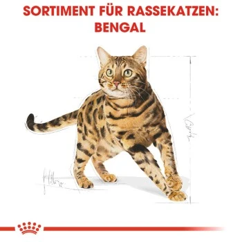 ROYAL CANIN Bengal Adult 10 Kg – Bild 6