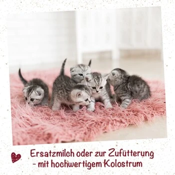 FeliTATZ Kittenmilch 350g 90 G – Bild 2