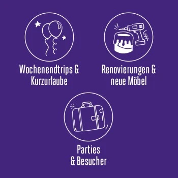 Feliway Help! 7 Tage Start-Set Zur Vorbeugung Von Stress – Bild 4