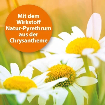 Ardap Spot-On Für Katzen S – Bild 2