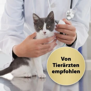 Felisept Home Comfort NachfĂŒller 45ml â Bild 2