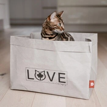 Canadian Cat Company Katzenbett Winnipeg – Bild 8